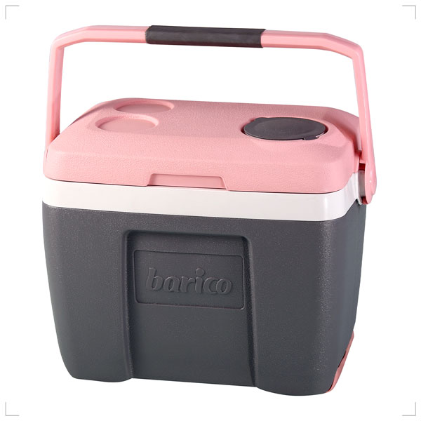 kooler box alisa toosi soorati تصویر کولر باکس آلیسا طوسی صورتی